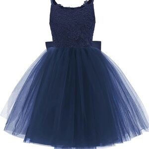 Elegant Navy Blue Lace Tulle Dress